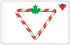 Carte cadeau Canadian Tire - Cadeaux des Fêtes